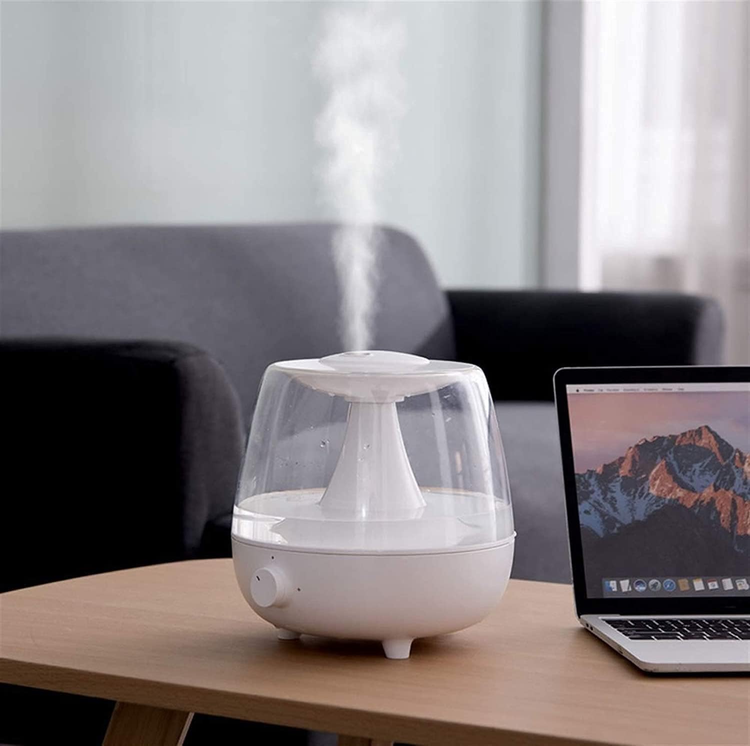 Cool Mist Quiet Desk Humidifier with Automatic Shut-Off 2.4L Large Capacity (Color : White) (Black)