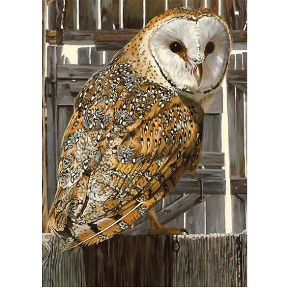 Peinture diamant hibou gris 80x220cm pour occuper vos weekends et réduire le stress