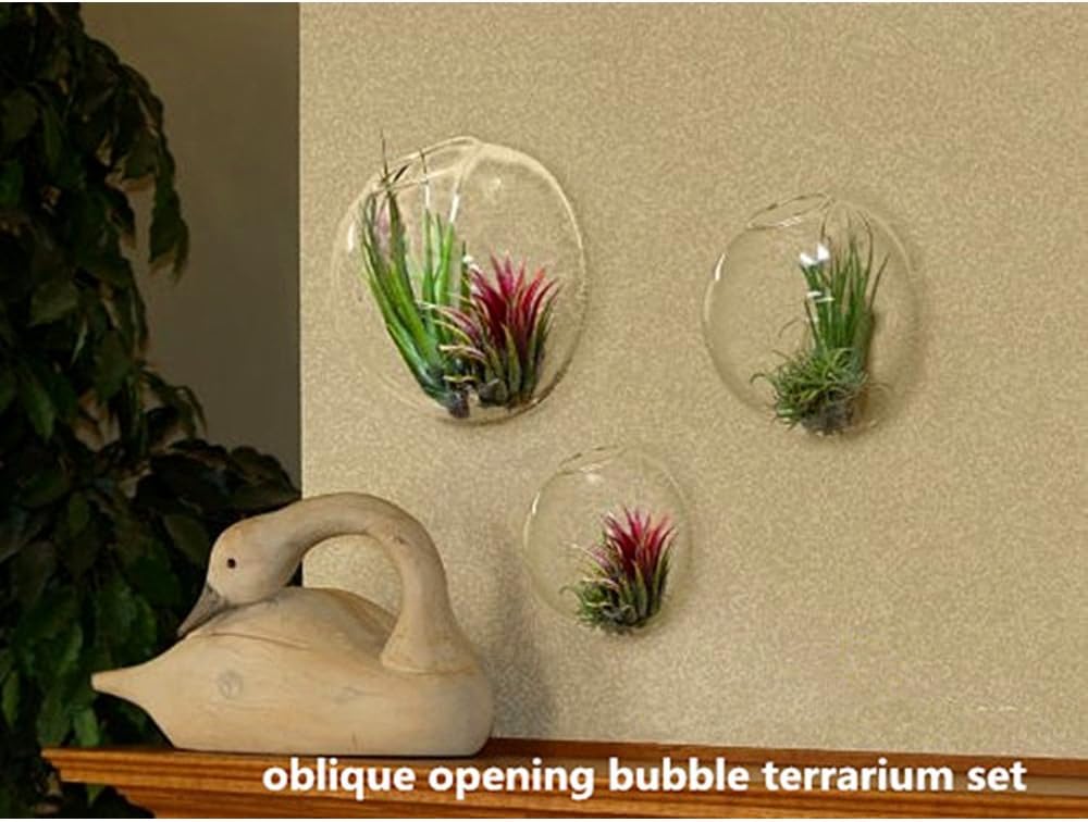 Set of 3 Wall Bubble Terrariums Indoor Plants Holders Wall Glass Vase for Flowers Wall Mounted Planters for Succulents Air Plants Wall Decoration for Sunroom Living Room