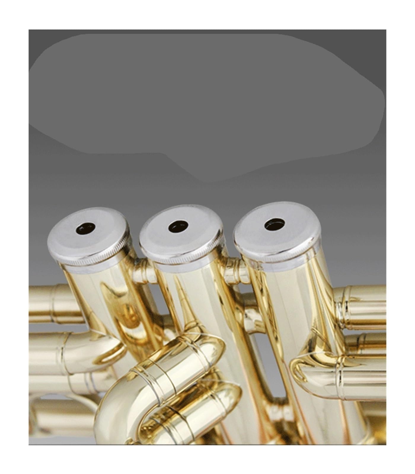 trąbka instrument Uczniowski zespół początkujący na trójtonowej trąbce B-dur róg instrumentu dętego(Color:Brass)