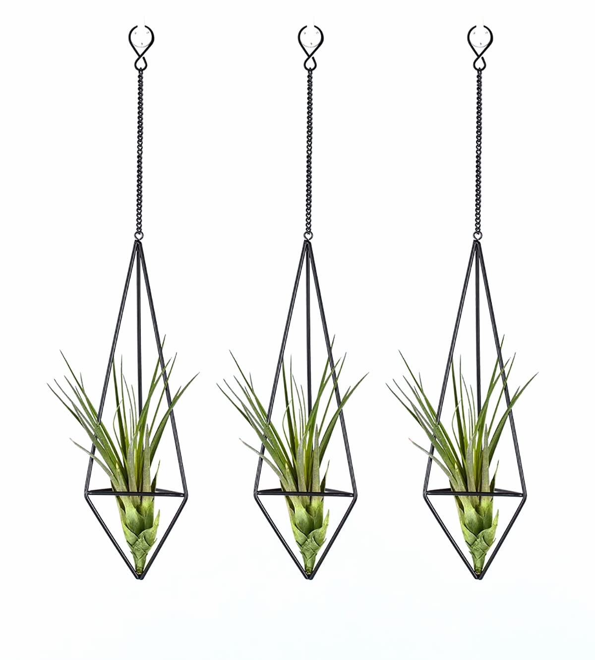 Ecosides Pack of 3 Modern Art Style Hanging Metal Tillandsia Air Plant Holder in Black, Quadrilateral Pyramid Shape Geometric Hollow Flower pots