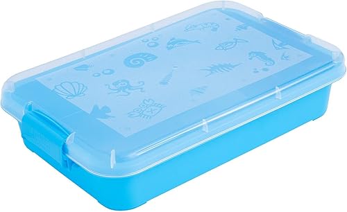 Bandeja de arena con tapa