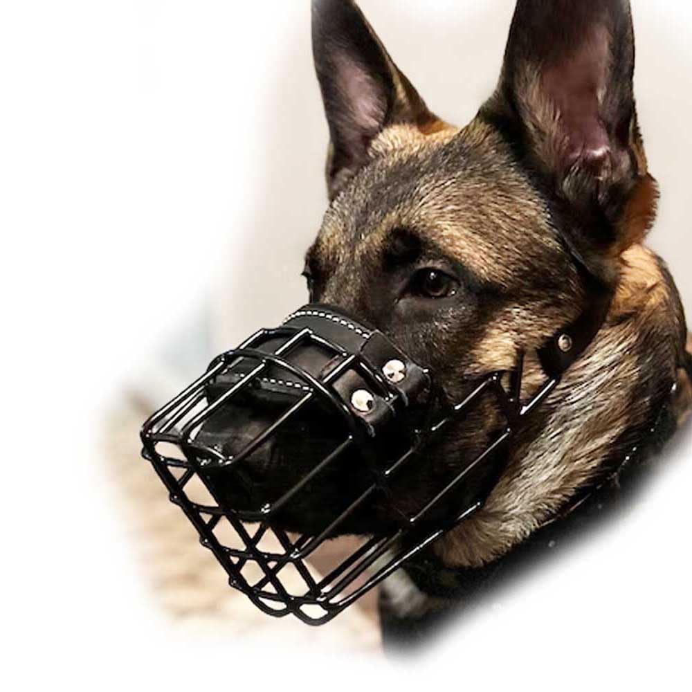 Muselière en métal pour malinois et schnauzer géant panier robuste taille 26 anti-morsure