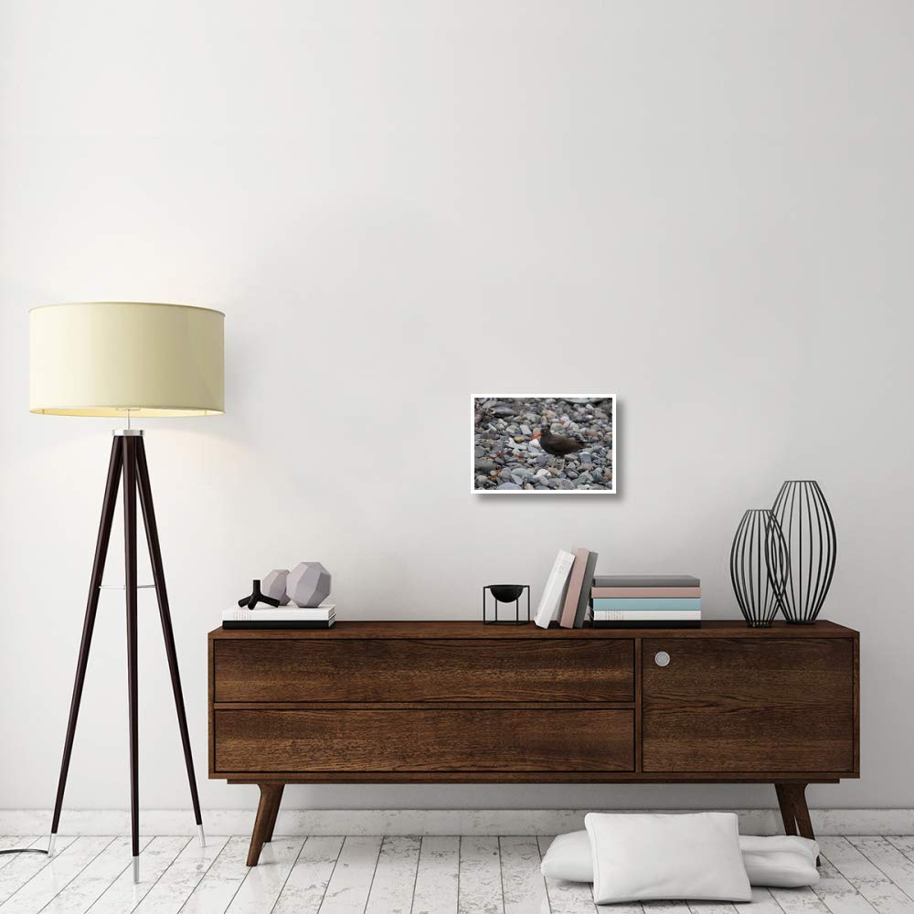 Artworks Italia - Atrapa ostras, Color Negro