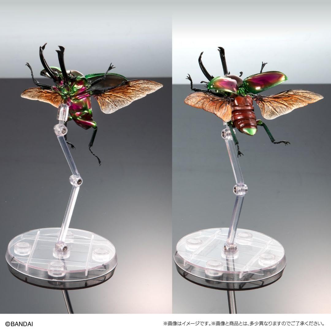 BANDAI - いきもの大図鑑アドバンス　オンライン版　プラチナコガネとニジイロクワガタ いきもの大図鑑アドバンス プラチナコガネとニジイロクワガタ