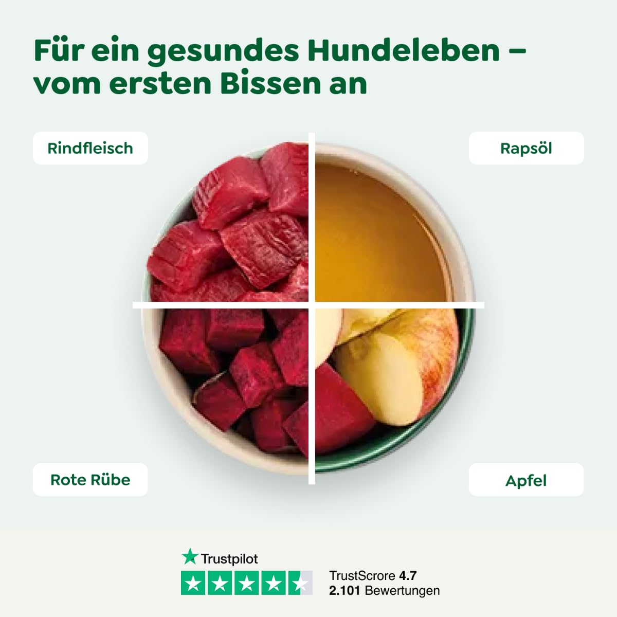 WOW Dog Hunde Trockenfutter Rind | für ausgewachsene Hunde, 32% Fleischanteil, getreidefrei | 12 kg