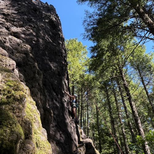 Why the shady forest of French's Dome is ideal for beginner rock climbers