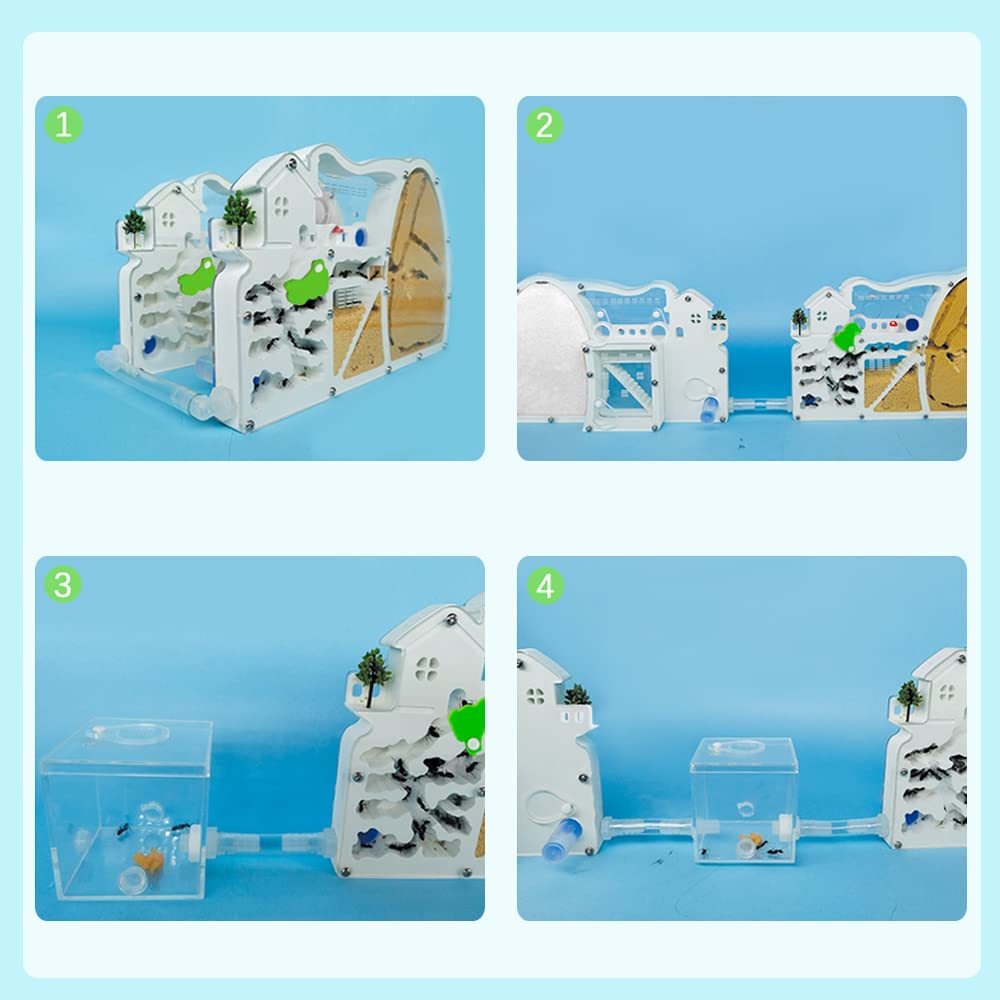 ELNMLHT 2PCS Ant Farm Castle with Connecting Tubes and Forage Box, Sand Ant Colony Observation Kit, Ant Viewing Habitat Science Kit, Educational & Learning Science Kit for Kids, Adults, Student