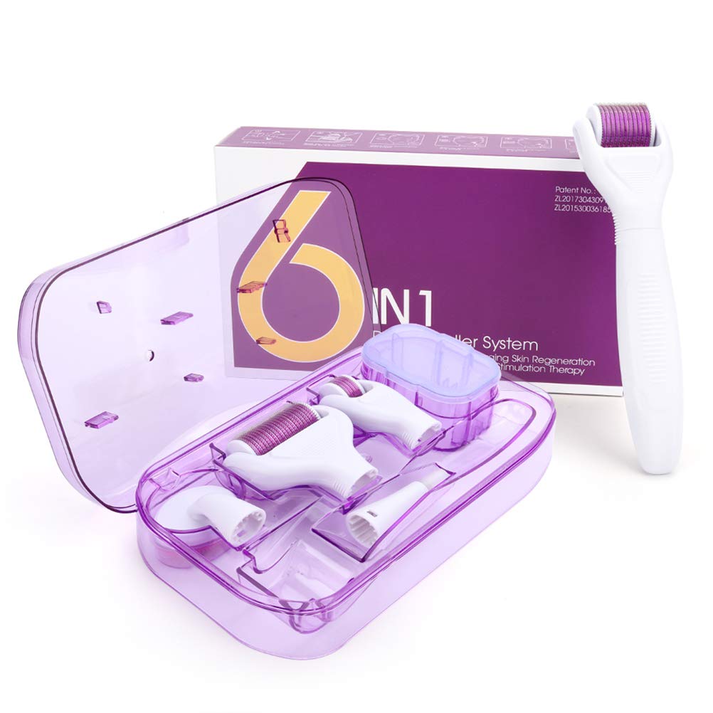 Kit Derma Roller 6 En 1 Segminismart - Micro-Aiguilles 0.25 à 2mm, Régénération Peau Visage Et Corps