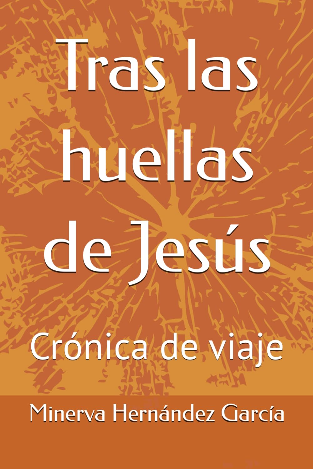 Tras las huellas de Jesús: Crónica de viaje