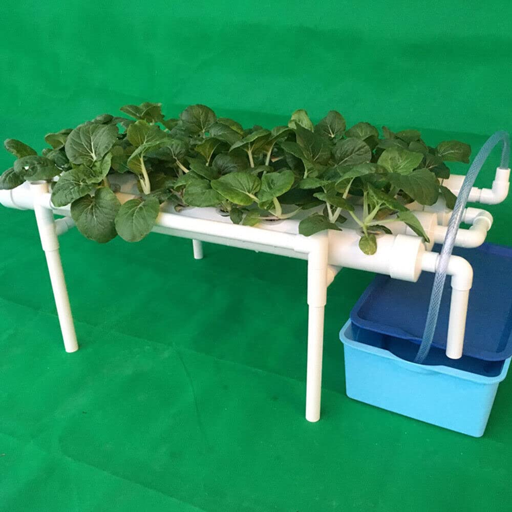 Kit de Culture hydroponique 1 Couche 36 Plant Sites Système de Culture hydroponique Grow Kit 1 Couche Hydroponic Plante Végétale Garden Yard Système d'irrigation pour légumes à Feuilles