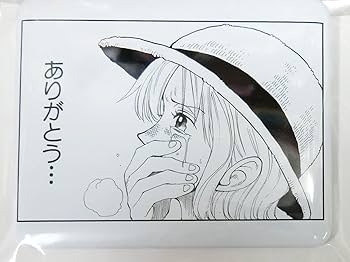 Amazon.co.jp: ONE PIECE -ワンピース- ～メモリーピース～ 回想録の
