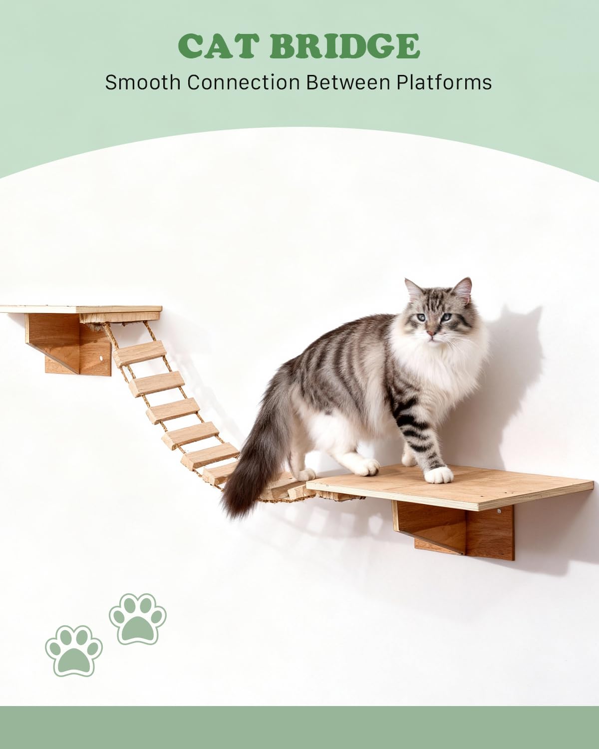 Mensole da Parete per Gatti 6 in 1, Parete per Gatti con Ponte, Cuccia a Muro, Gradini, Amaca, Struttura da Arrampicata e Tiragraffi, Set da Mobili Salvaspazio per Interni, Fino a 15 kg