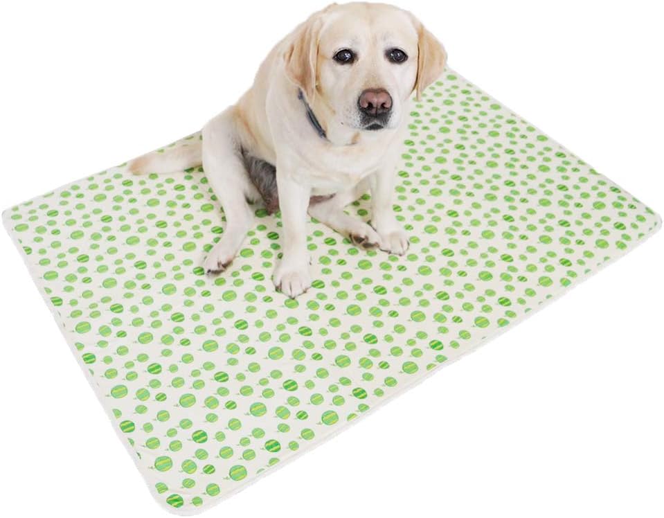 watermelon dog cooling mat