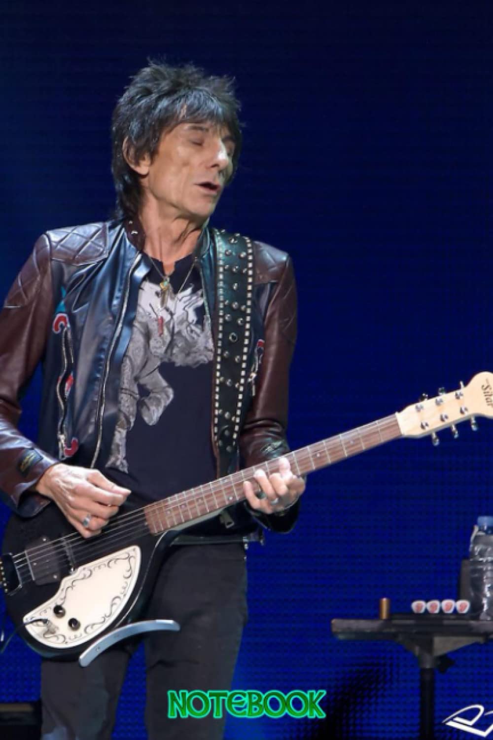 Notebook : Ronnie Wood College Rule Lined Writing your Ideas and Notes, Thankgiving Notebook Journal #66