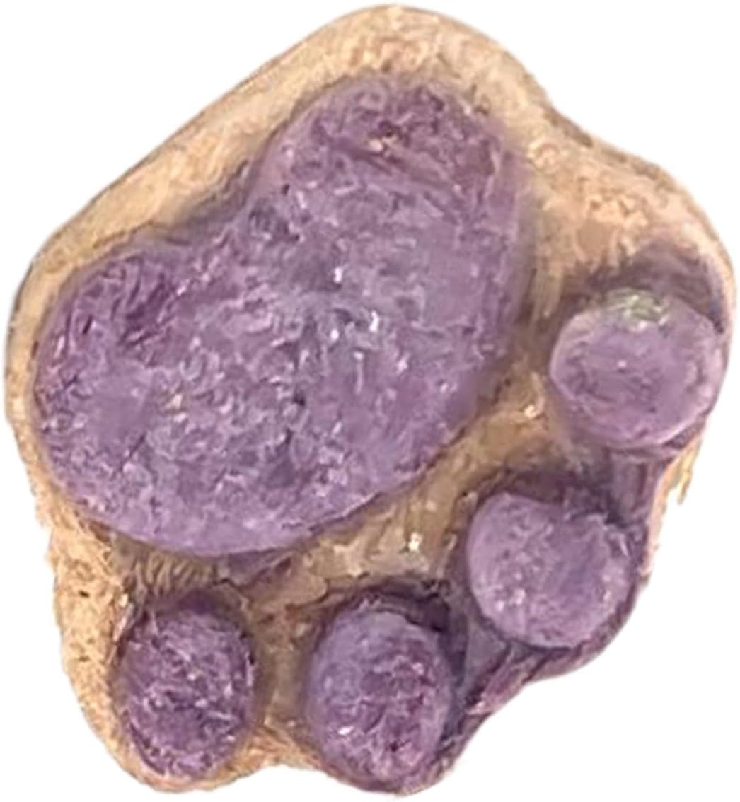 10pcs Paw Shaped Cat Snack Kittens Foods Treat Cat Oral Cleaning Snacks Cats Treat Selection Cats Grass Sticks For Indoor 5g 7 61M7D9RwfFL. AC SL1500