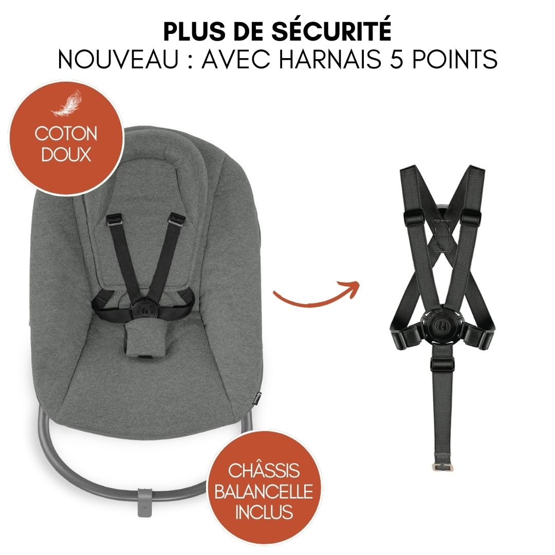 hauck Chaise Haute Bébé Evolutive en Bois Alpha Move Newborn Set avec Siège Nouveau-né Premium, Harnais 5 Points, dès Naissance, Roulettes, Coussin d'Assise et Tablette Repas - Naturel Gris Foncé