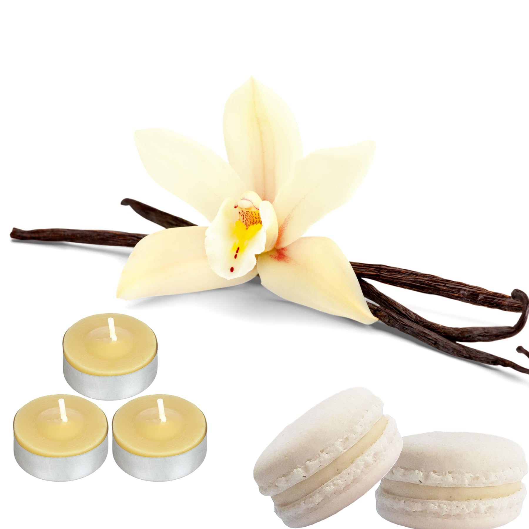 Prices Scented Tealight Candles 25 Pack 4hr Burn Time for Wedding Dinner Birthday Party (Vanilla Macaron 0329)
