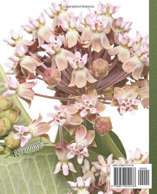 Life Cycle of a Monarch Butterfly: A Guidebook & Log Book for Raising Caterpillars - Image 2