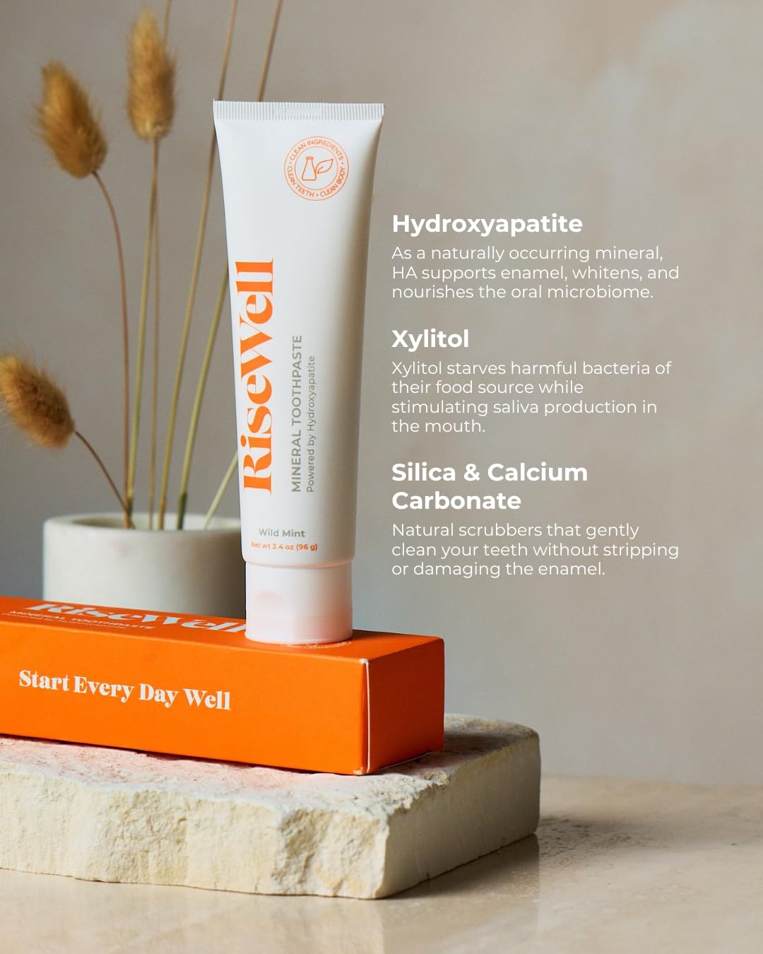 RiseWell Hydroxyapatite Toothpaste - Wild Mint -4