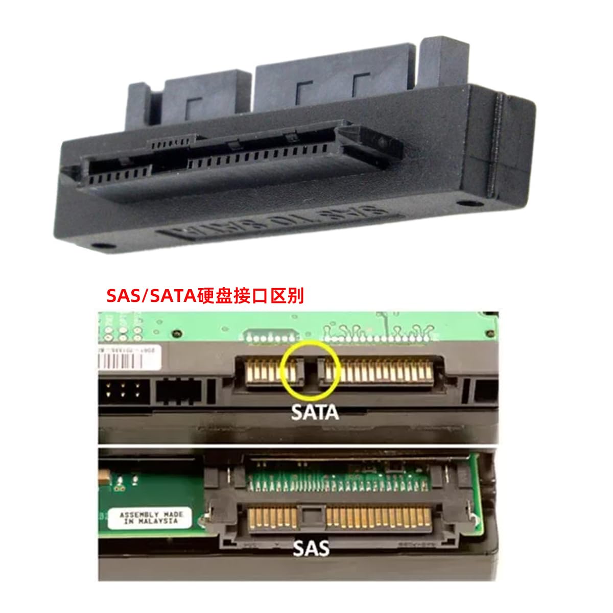 静岡西部発★指定地域内送料無料★アイシン精機★SマットSFFファインレボ/ハード Amazon.co.jp: SASアダプタ SFF-8482 SAS 29ピン - SATA 22ピン