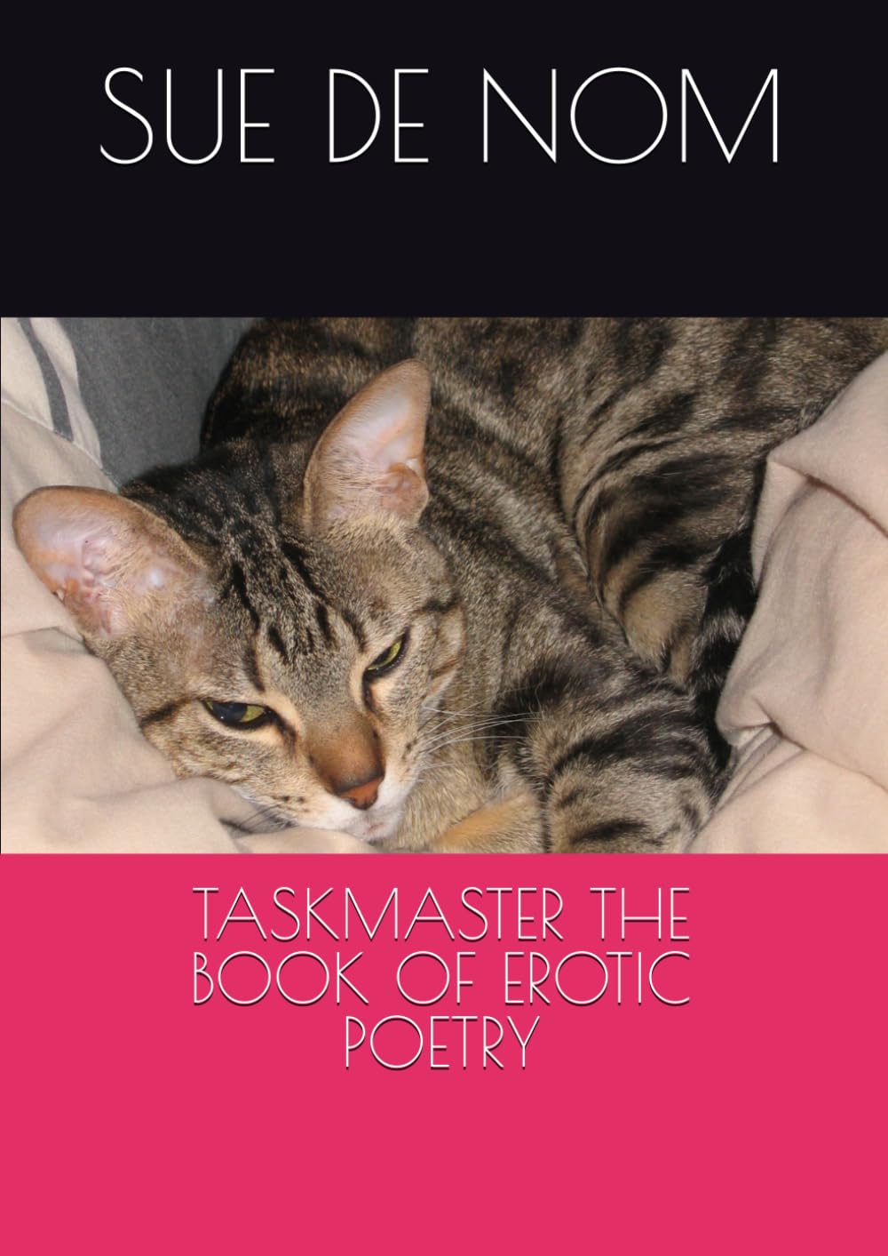 TASKMASTER THE BOOK OF EROTIC POETRY