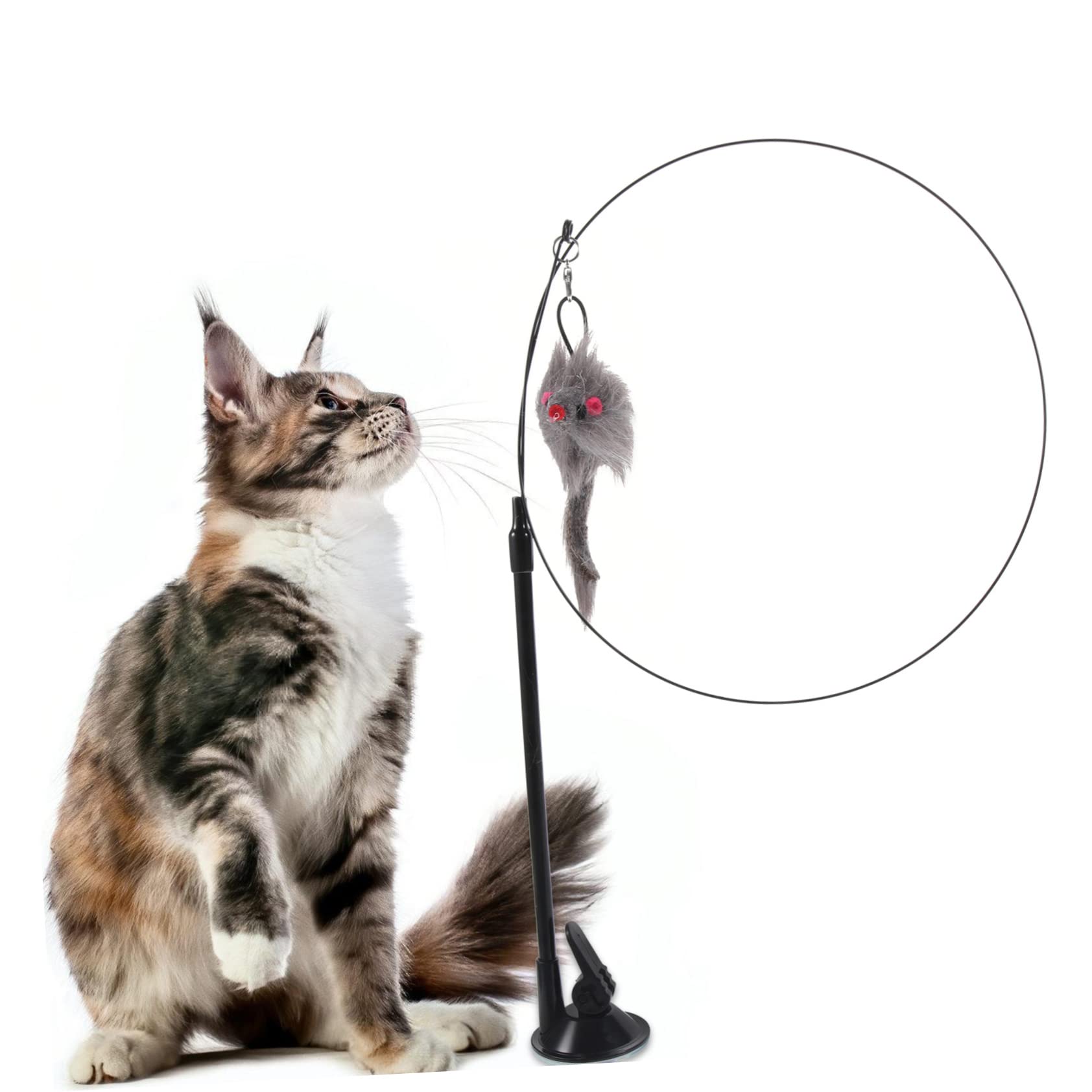 ABOOFAN Chat Jouet Faire De La Pêche PP Ventouse