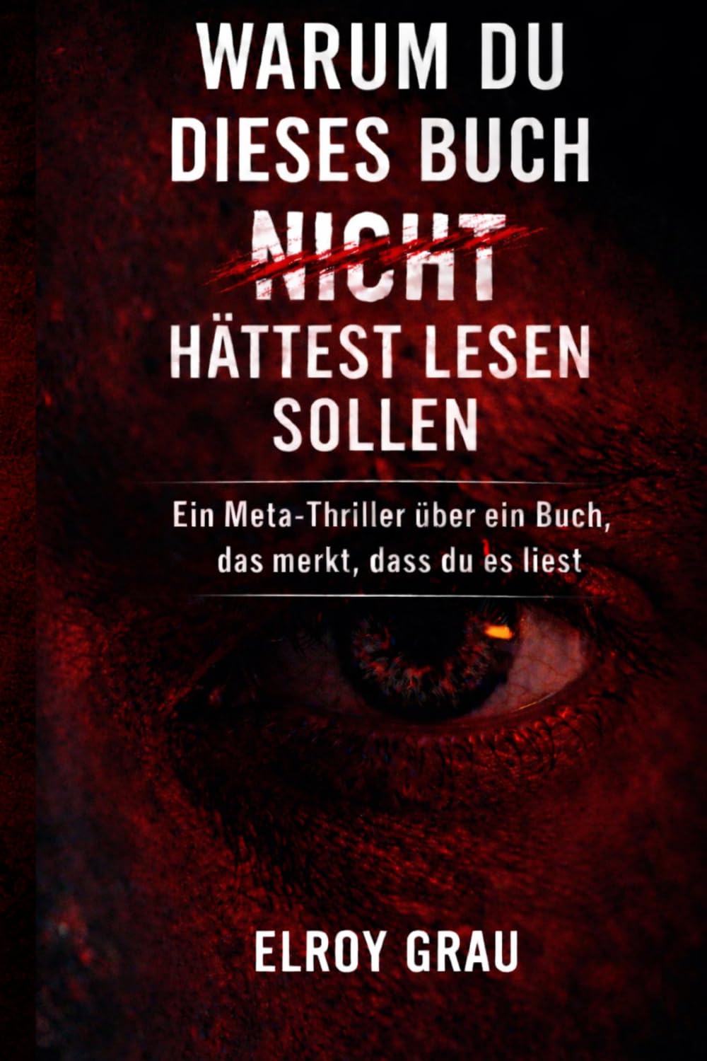 Warum du dieses Buch nicht hättest lesen sollen: Ein Meta-Thriller über ein Buch, das merkt, dass du es liest