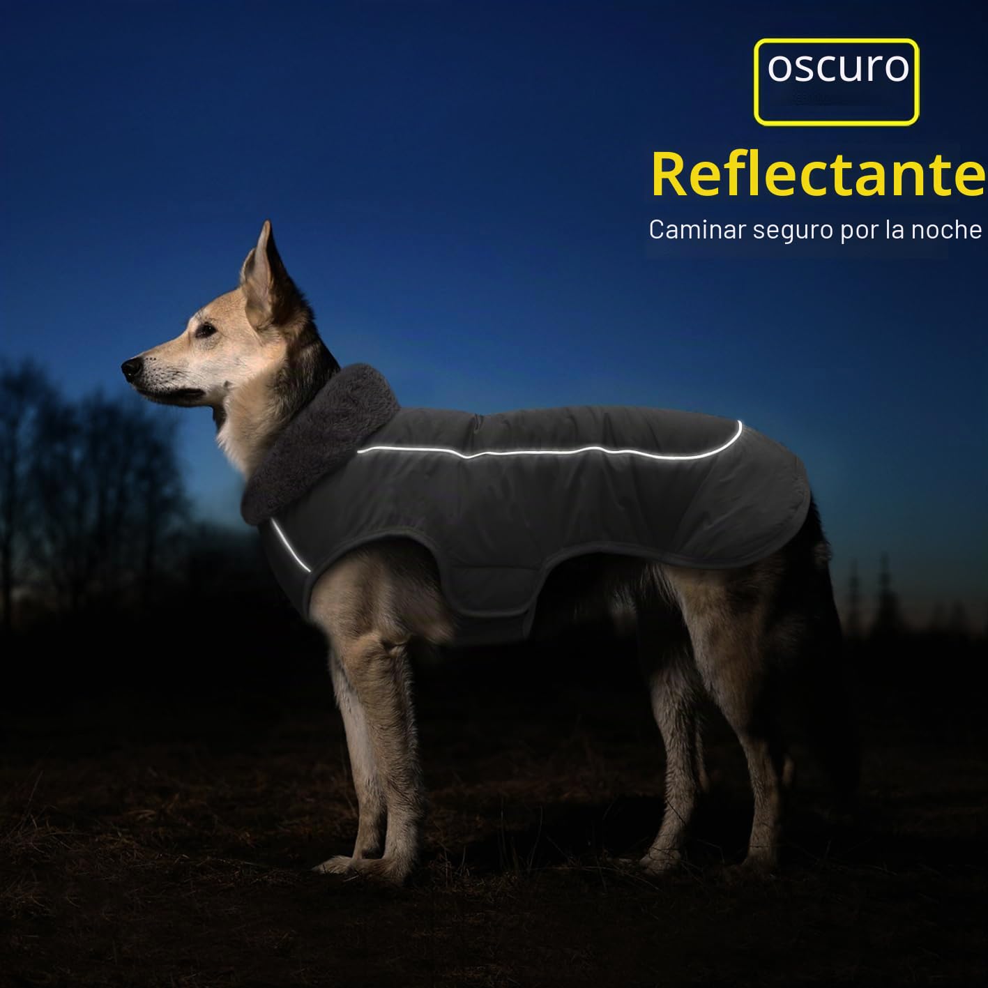 Idepet Chaqueta de Abrigo de Perro, Abrigo de Mascotas a Prueba de Agua, Traje de ensayo, Ropa de Perro a Prueba de Viento reflexiva para pequeños Perros Grandes Grandes Rojo Negro