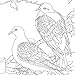 Color the Classics: The Snow Queen