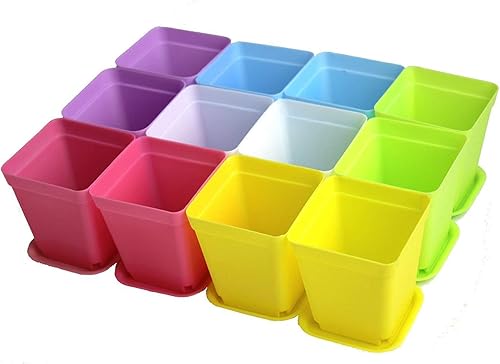 Zicome macetas de plástico de colores con platillos, 12 unidades Colorful Plastic Plant Pots with Saucers, Set of 12