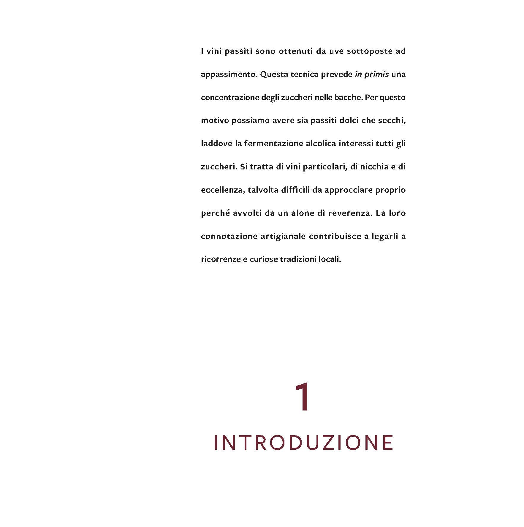 Vini passiti d'Italia. Un viaggio passo dopo passo. Ediz. a colori