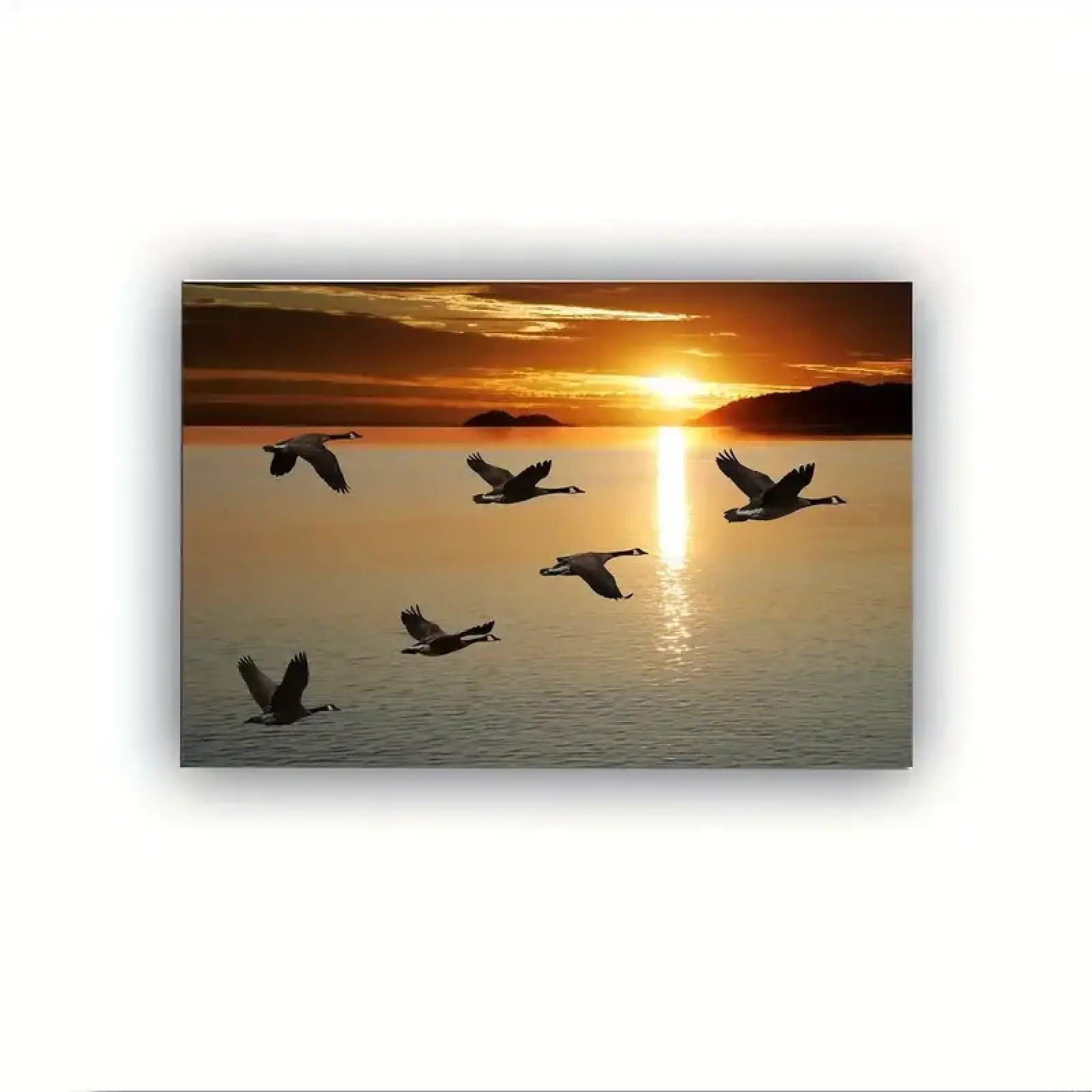 Toile oies canadiennes coucher de soleil impression premium - 8