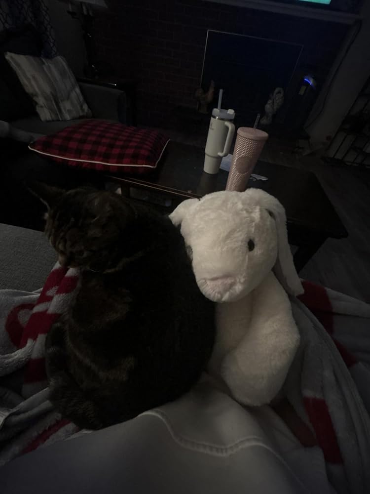 World's Softest Plush - XLarge Lushee - Cream Bri Bri Cream Bunny Lushee 20 inches