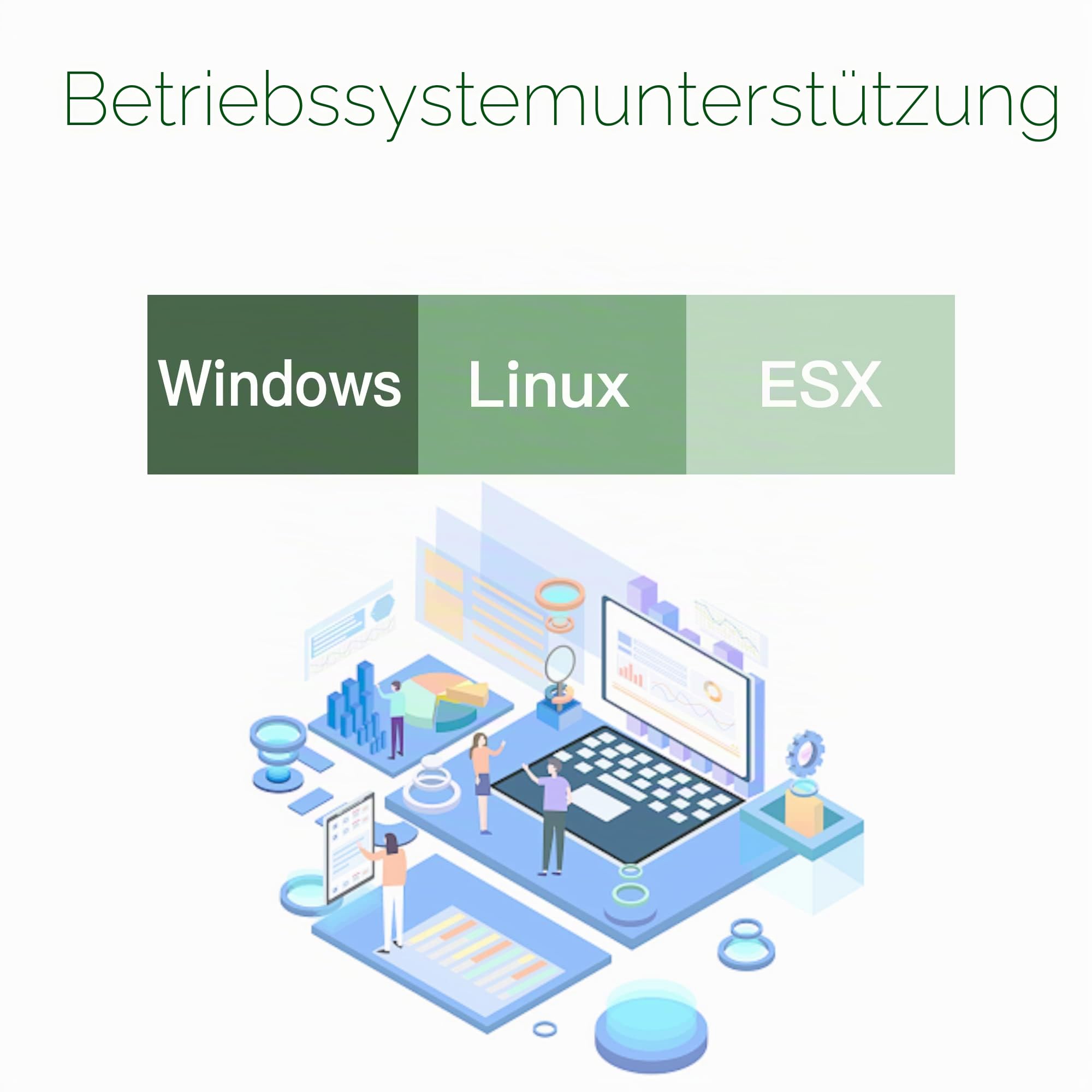 10Gb PCIe Netzwerkkarte für Intel X540-T2, 10G LAN Karte mit Intel X540 Controller, Dual RJ45 Ports NIC PCI Express x8 Ethernet Adapter für Windows/Windows Server/Linux/Freebsd/VMware ESXi