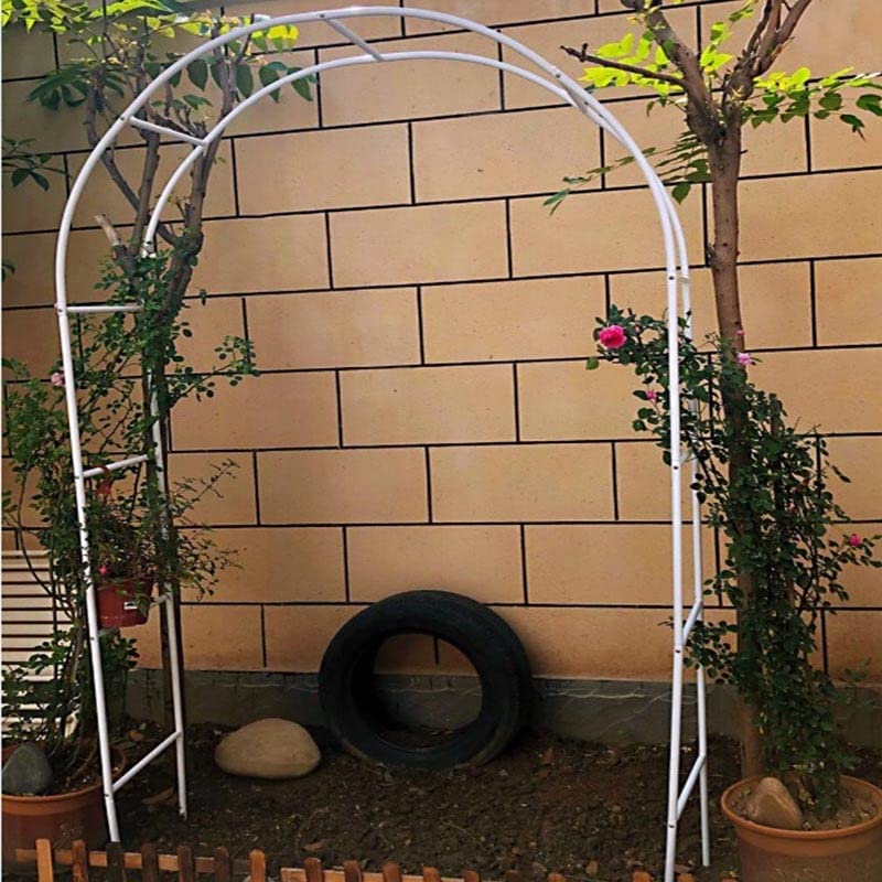 Arche de jardin en métal résistant aux intempéries tuteur rosiers XL
