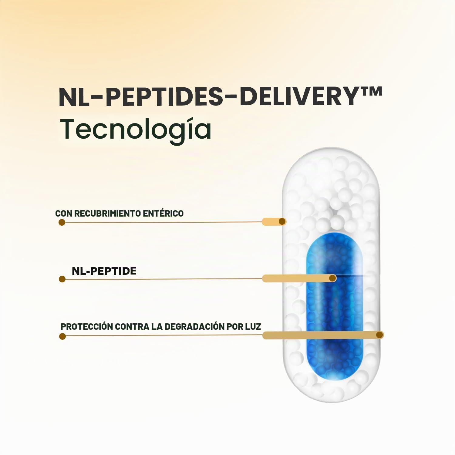 NL-GHK-CU - TRIPÉPTIDO + CU - Para la Regeneración de la Piel - Para el Tratamiento de Arrugas y Cicatrices - Péptidos para la Piel - Para el Crecimiento y Grosor del Cabello