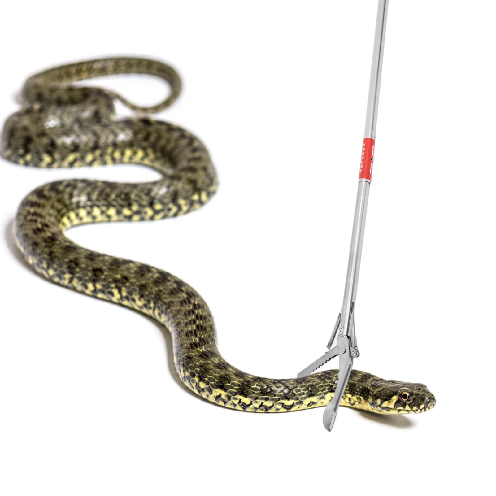 TOYANDONA Aalzange Metall 127cm Faltbare Schlangenzange Mit Rutschfester Klemme Für Reptilienfang Und Outdoor Einsätze