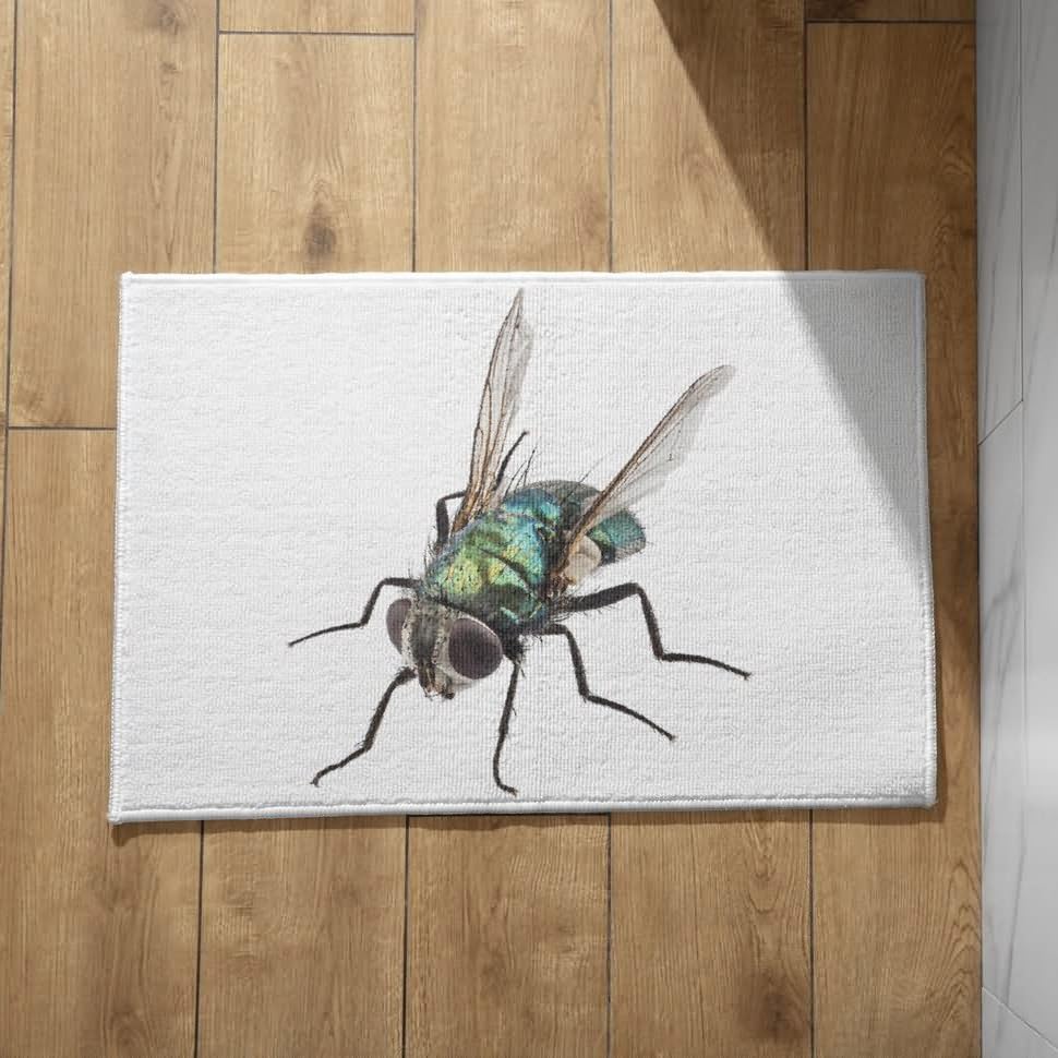 Tapis décoratifs antidérapants pour sécuriser et embellir votre entrée