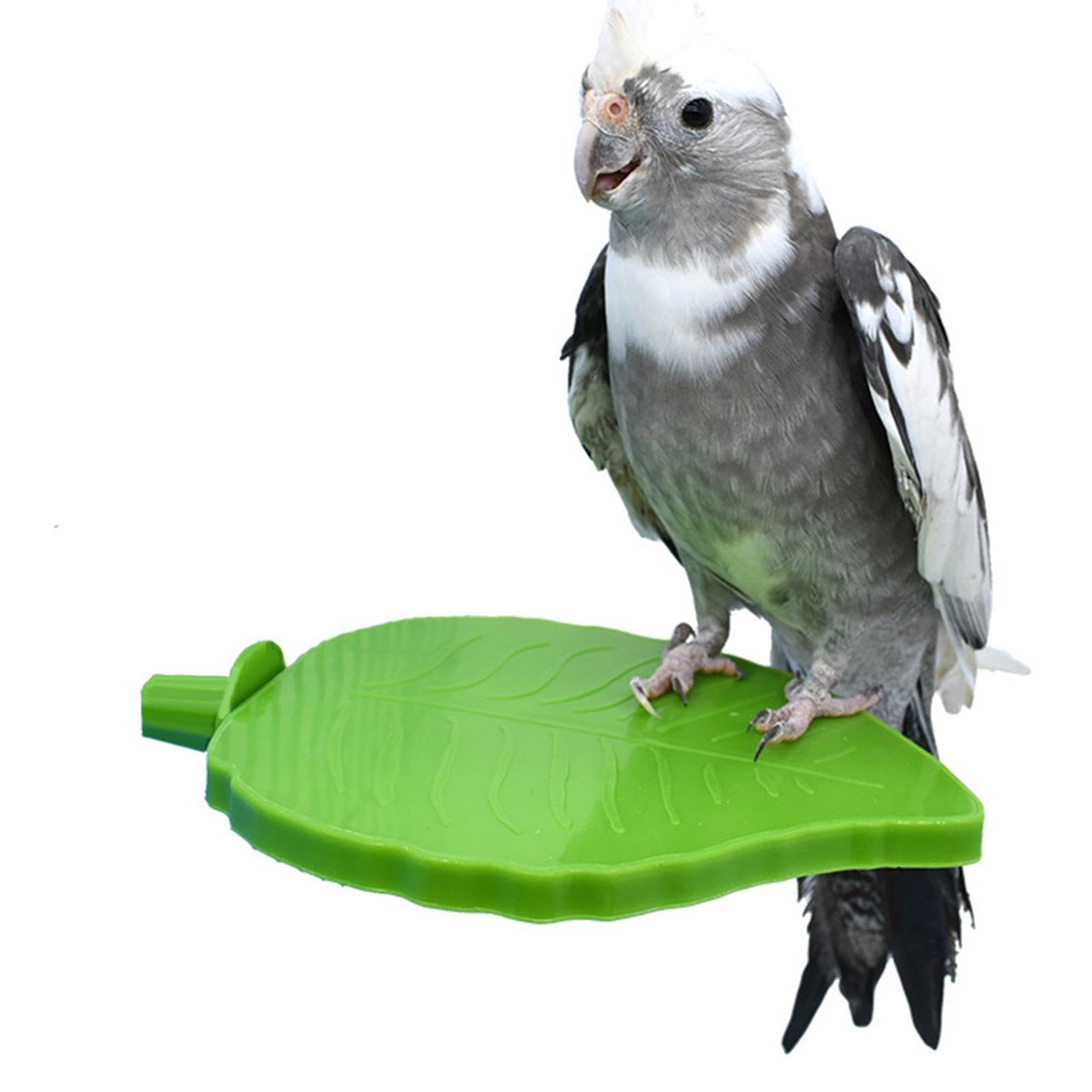 Amazon | 鳥のプラットフォームの砂 - 葉の形のオウムとまり木スタンド