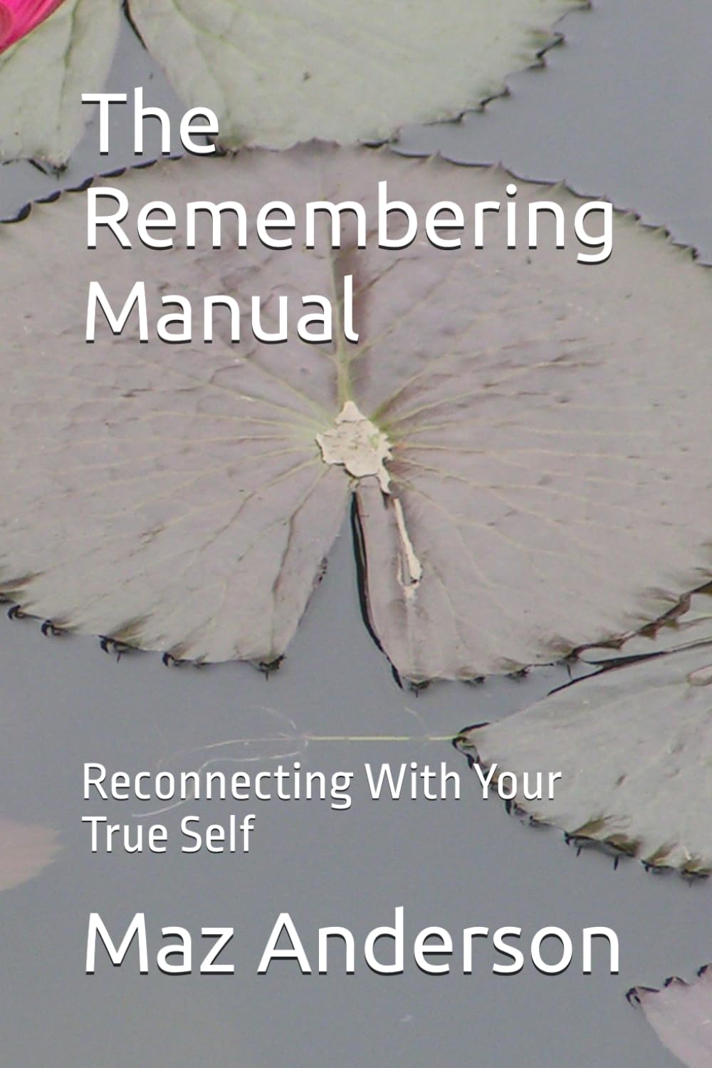 The Remembering Manual: Reconnecting With Your True Self