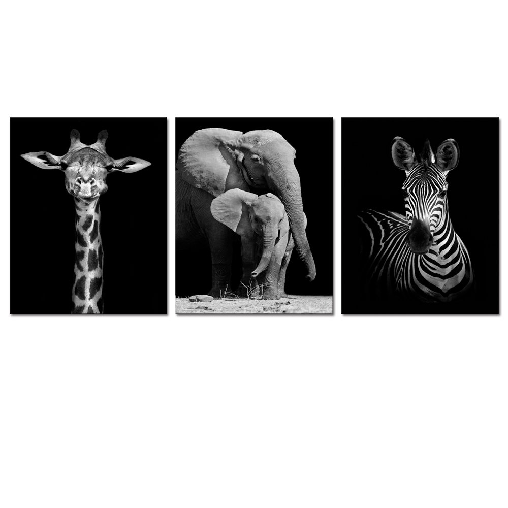 Zebra Print Wall Art Decor For You