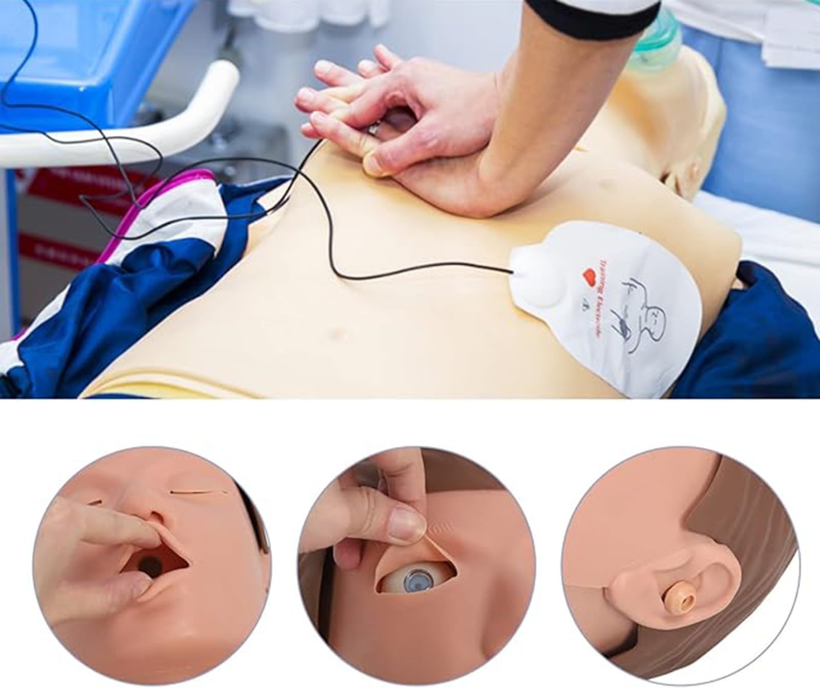 Mannequins De Secourisme Demi-Corps Mannequin RCP Respiration Artificielle Modèle Humain Simulateur De Réanimation Pour Adulte A