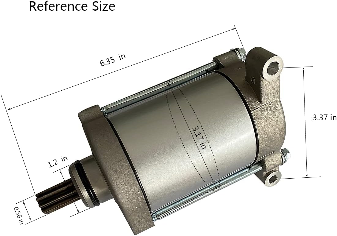 初心者安心 耐寒性あり】現地株 グラキリス ヘソあり valiem 鉢付
