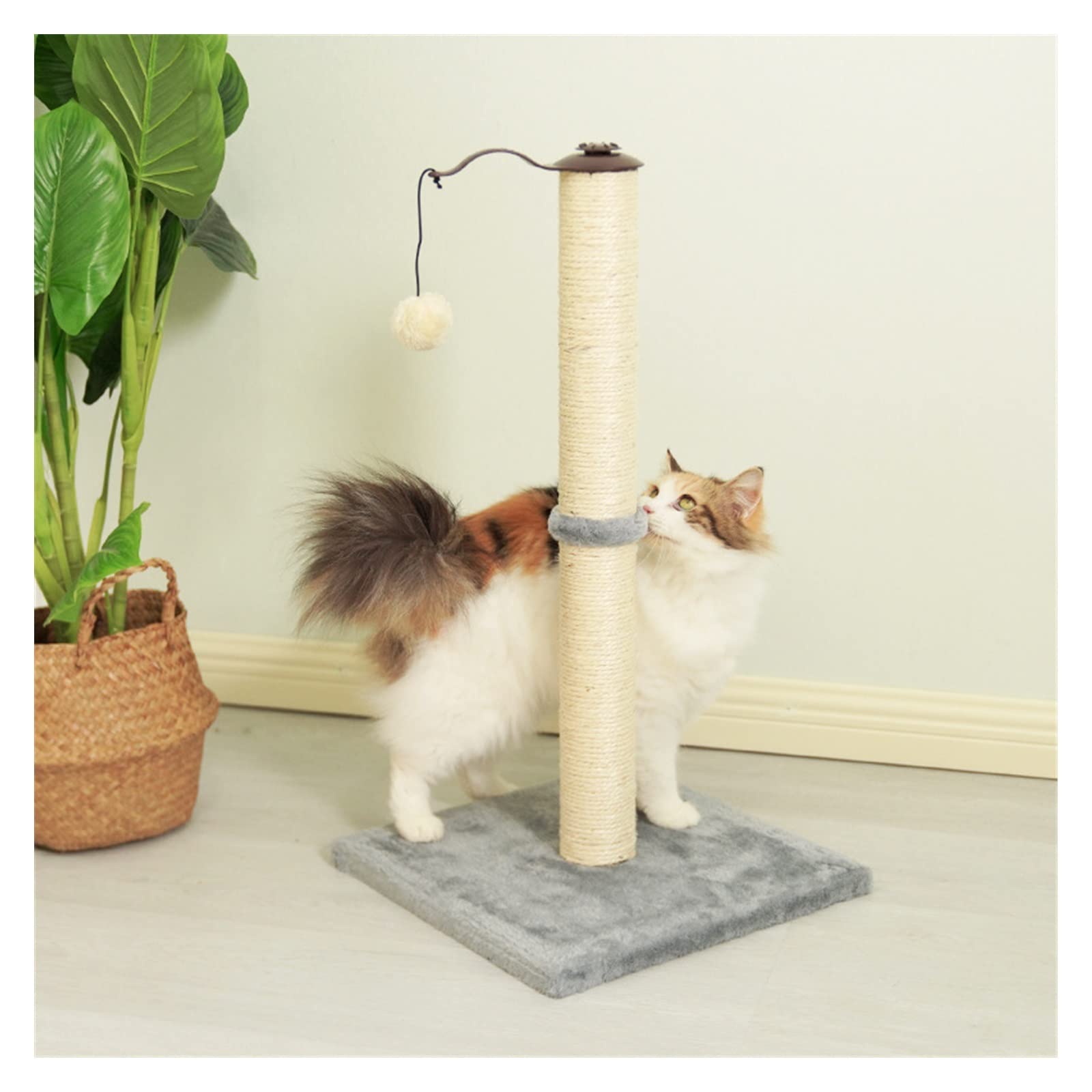 Albero da Arrampicata per Gatti Struttura for Arrampicata for Gatti tiragraffi for Gatti Verticale tiragraffi for Gatti Piccolo Giocattolo for Gatti Tiragraffi, Torre per Gatti
