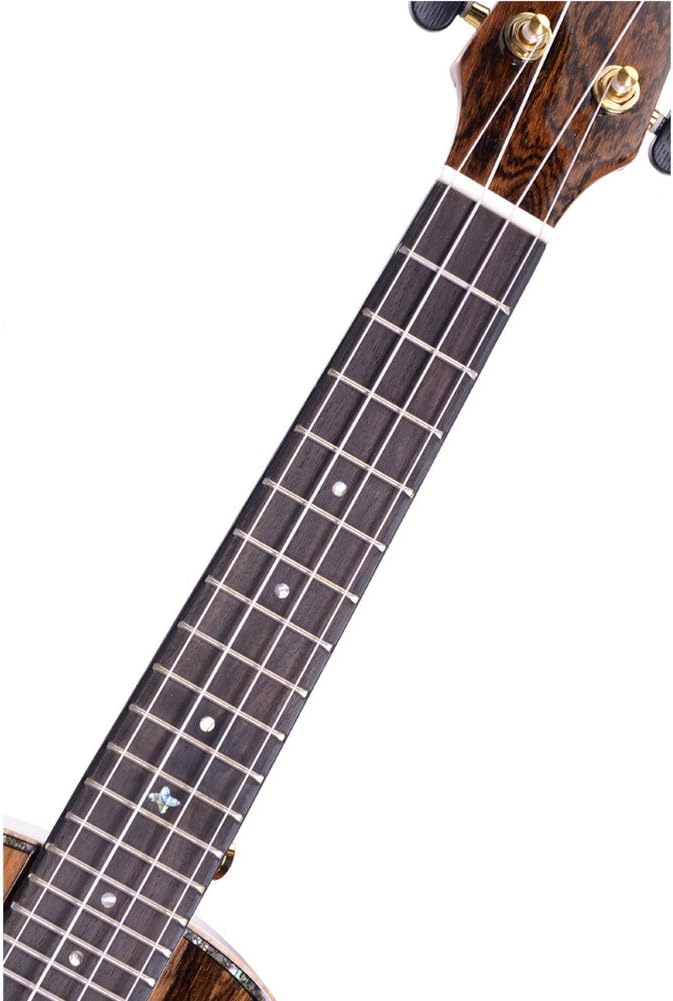 Close-up of Meideal ukulele fretboard and strings