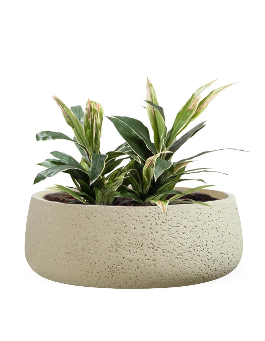 Vaso In Terracotta Olly & Rose 23 Cm – Finitura Spazzolata Grigio/marrone, Per Interno/esterno, Con Foro Drenaggio