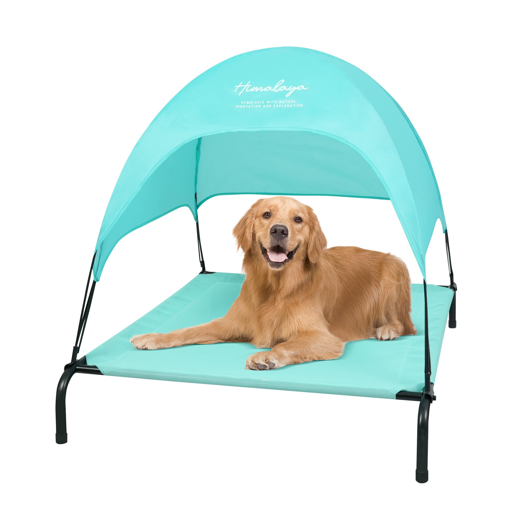 Himalaya Elevated Dog Bed, Large Bed with Canopy Removable Shade Tent, Stable Anti-Slip Feet for Pets Camping Indoor Outdoor Brown (Blue-Large)