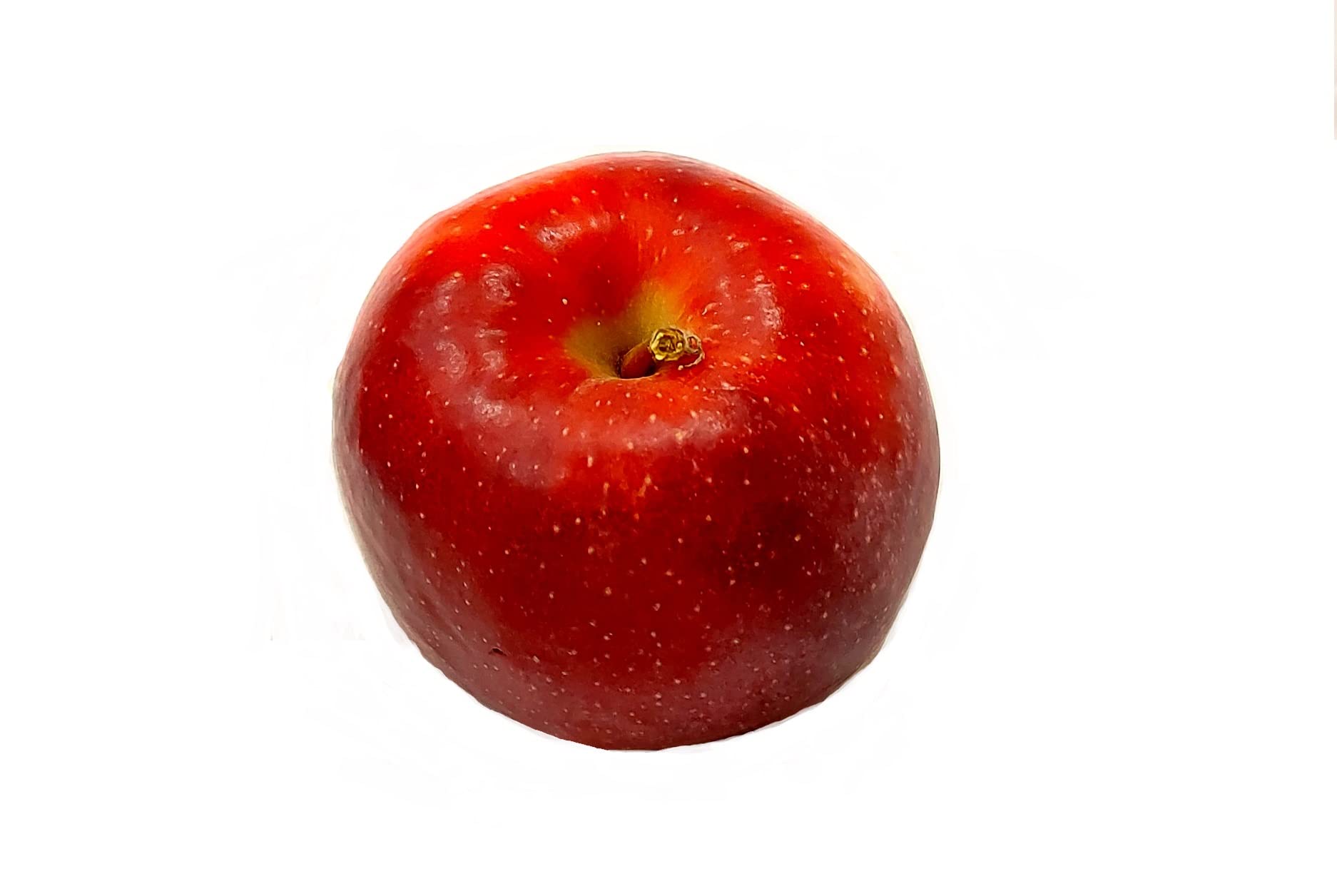 Äpfel Red Jonaprince Jonagold Price Red Prince aus Deutschland/Bodensee saftig süß-säuerlicher Tafelapfel 8 KG