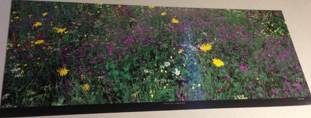 Patrice Labarbe affiche 26X70 cm poster d'art impression haute définition
